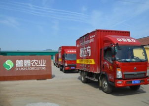 薯立方 從育苗到餐桌的高科技紅薯之路